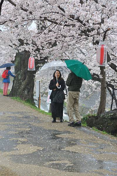 雨佐#8.JPG