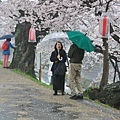 雨佐#8.JPG