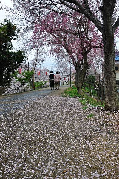 雨佐#10.JPG