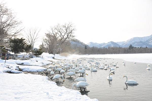 2012北海道 183.JPG