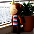 monkey-IMG_0044.jpg