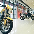 Ducati Monster