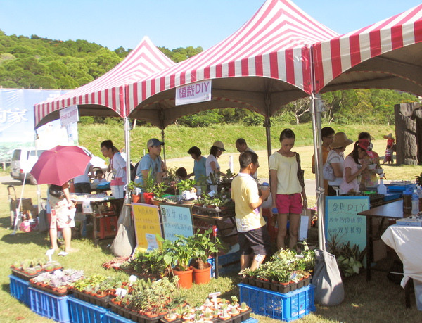 植栽DIY  采花園