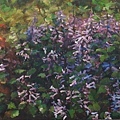 紀美華-紫色小花