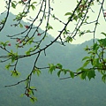 20110321_16.jpg