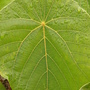 照片 081.jpg 照片 081.jpg