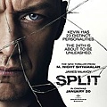 Split_2017_Poster.jpg