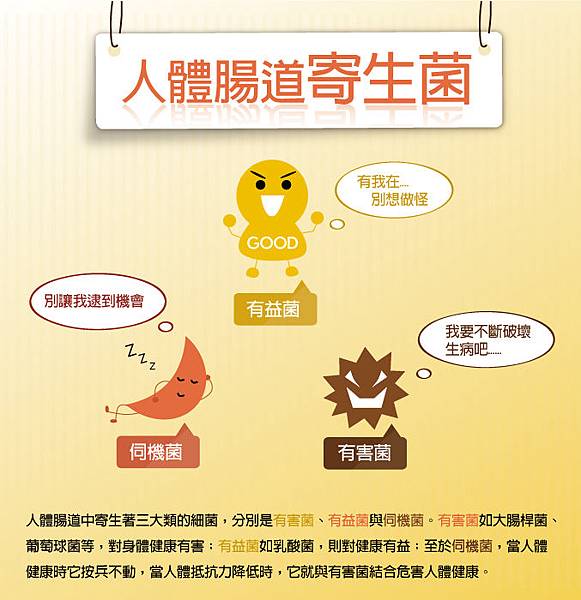 350_1050511_04.jpg 試用