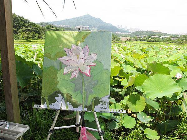 荷花池寫生