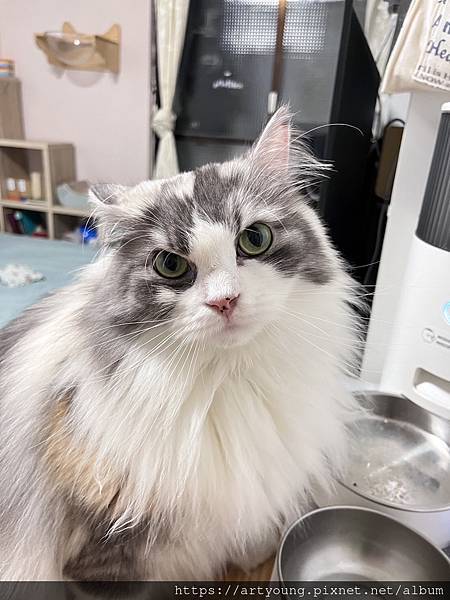 S__42344452 S__42344452