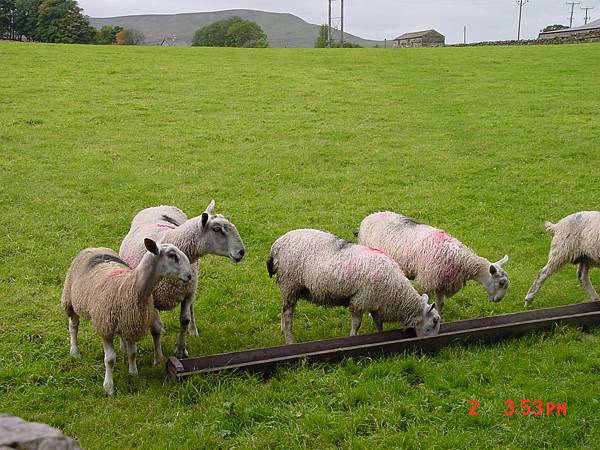 2005/10/02 Hawes, Upper Wensleydale, Yorkshire Dales