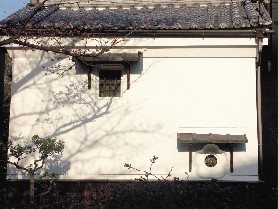 旅人心願 曾郁雯／攝影