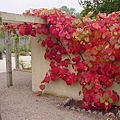 2005/10/07 RHS Garden Harlow Carr, Harrogate