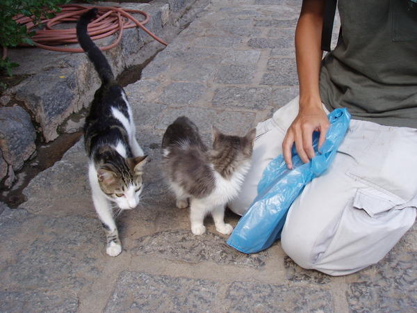 2006/09/30 Δελφοί, Φωκίδα, Στερεά Ελλάδα / Delphi, Phocis, Central Greece