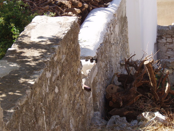 2006/10/02 Νάξος, Κυκλάδες / Naxos, Cyclades