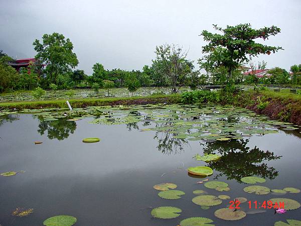 2007/09/22 蓮城蓮花園, 花蓮縣吉安鄉