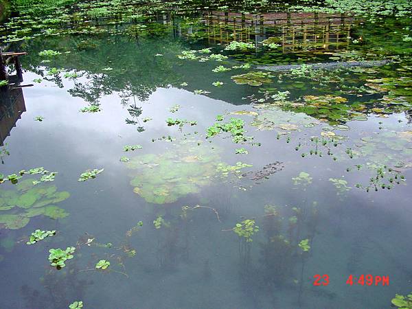 2007/09/23 欣綠農園, 花蓮縣光復鄉