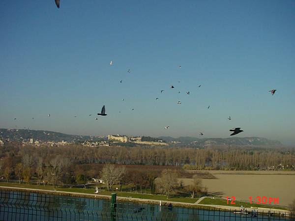 2004/12/13 Avignon, Vaucluse, Provence-Alpes-Côte d'Azur