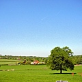 2008/05/08 Rother, East Sussex