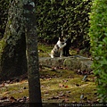 2010/10/16 奈良県生駒郡