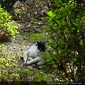 2010/10/16 奈良県生駒郡