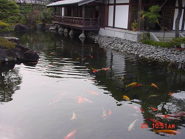 2009/01/20 姫路市, 兵庫県