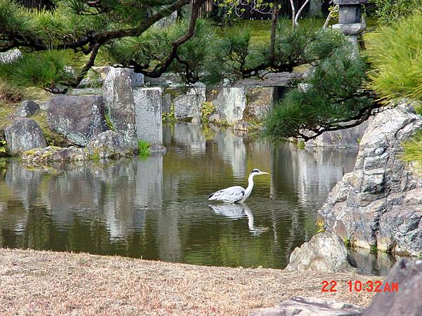 2009/01/22 京都市, 京都府