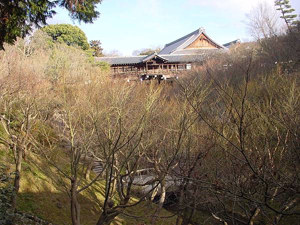 2009/01/24 京都市, 京都府