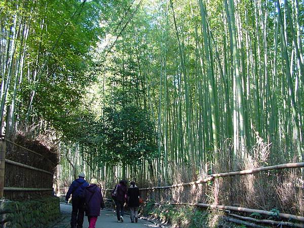 2009/01/25 京都市, 京都府