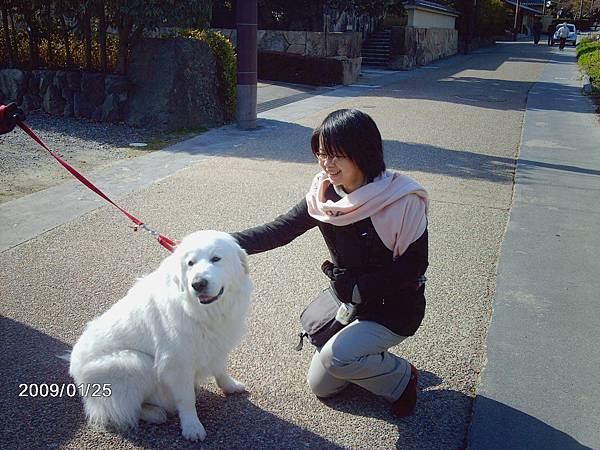 2009/01/25 京都市, 京都府