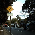 2009/01/27 奈良市, 奈良県