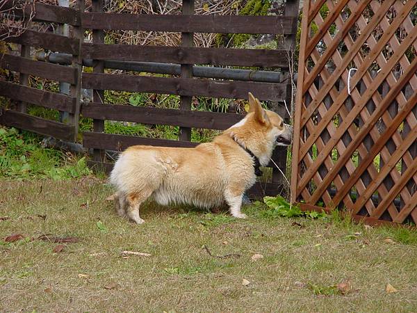  2009/11/30 南砺市, 富山県