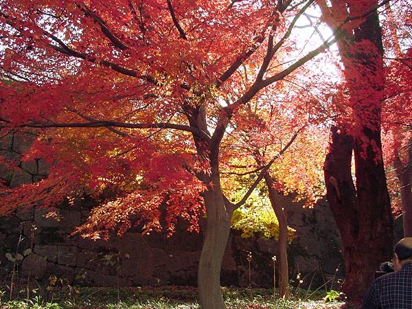 2009/12/02 金沢市, 石川県