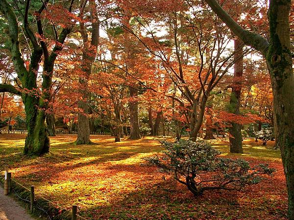  2009/12/02 金沢市, 石川県