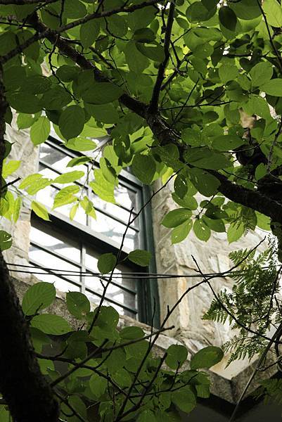 9 IMG_1615 天祥禮拜堂