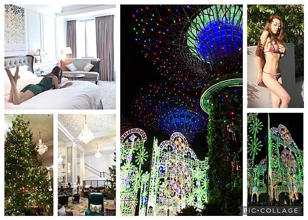 00、S__50446371 新加坡 新加坡洲際酒店 聖誕節