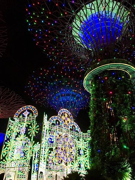 新加坡 濱海灣花園 天空樹 聖誕節 聖誕仙境 Luminarie 