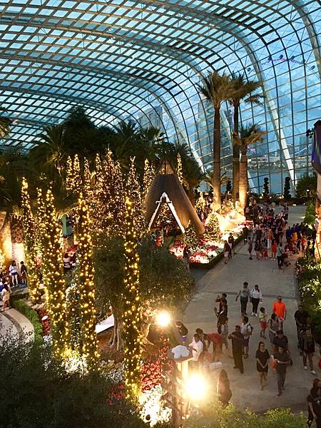 3-3、zhPtoH4VQP2i4CCUnAl%Wg_thumb_175c 新加坡 濱海灣花園 聖誕節 聖誕仙境 花穹