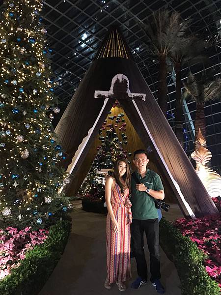 3-4、UNADJUSTEDNONRAW_thumb_17b2 新加坡 濱海灣花園 聖誕節 聖誕仙境 花穹 情侶