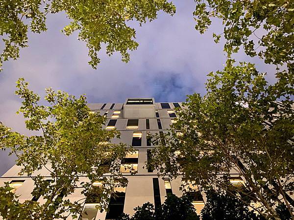 1-4、IMG_7683 台北時代寓所 善導寺站 電影 賽璐珞膠卷盒 綠化 樟樹林