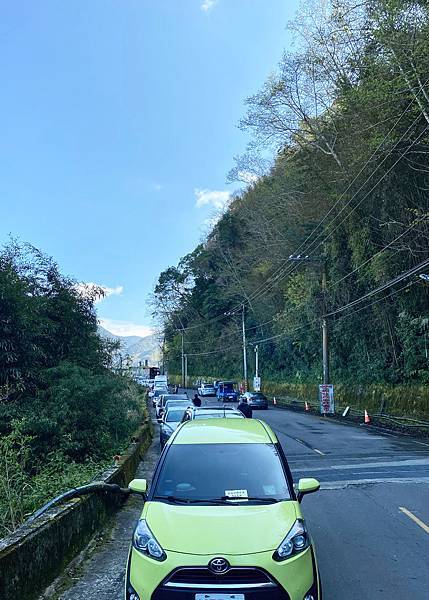 櫻花 桃園 拉拉山 恩愛農場 
