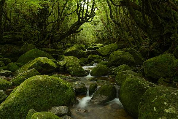 shutterstock_1102616174-1024x683