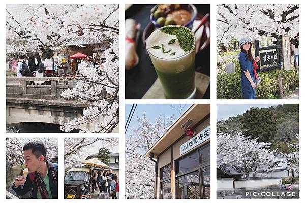 花錢來是對的！沿著哲學之道走到南禪寺，在360顆染井吉野櫻包
