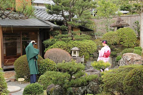 幹，花錢來是對的！沿著哲學之道走到南禪寺，在360顆染井吉野