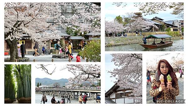 第一次求婚就上手！讓京都嵐山的櫻花見證我們的愛情