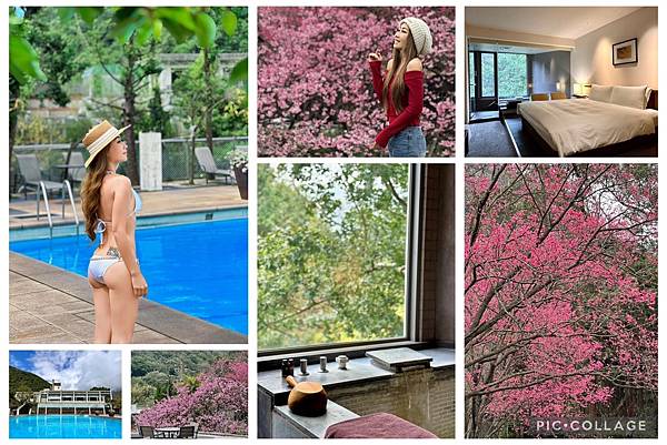 陽明山 雀客藏居陽明山溫泉飯店 泡湯 溫泉 賞櫻 國家公園 櫻花季 白磺泉