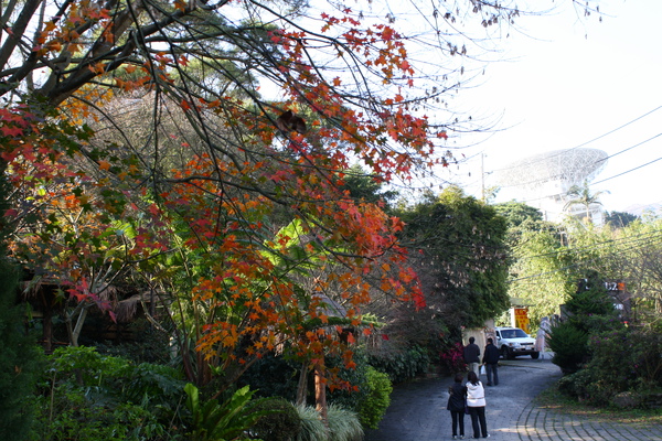 這其實是家餐廳的外面