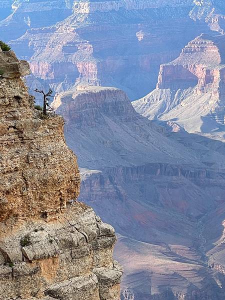 亞歷桑那州◎世界遺產～大峽谷國家公園Grand Canyon