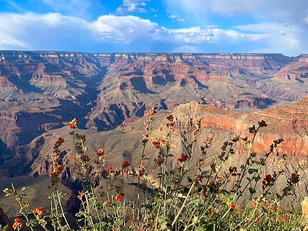 亞歷桑那州◎世界遺產～大峽谷國家公園Grand Canyon