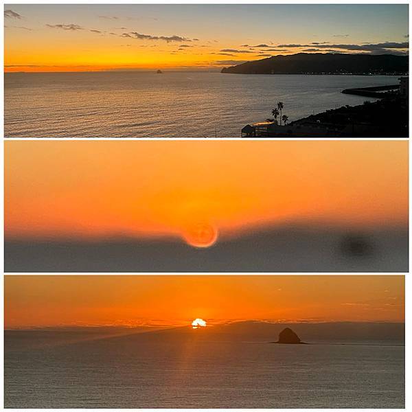 [2025 關東. Mr.Fuji .河津櫻] 仙人掌動物園